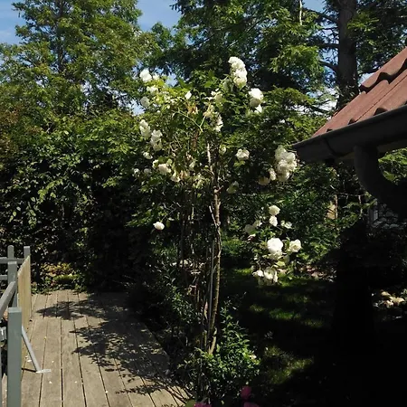 Apartman With 3 Bedrooms